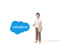 セールスフォース関連のコンサルティングします Salesforceの開発5年+運用経験3年のベテランSE イメージ1