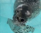 周りに話しづらい恋の話、守秘義務厳守でお聞きします 異性間の恋愛、同性間の恋愛、言えない恋、どんな話でもOK イメージ8