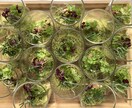 大切な方へのおもてなしの料理を考案します 思い出に残る食事は人生の宝となると信じています。 イメージ3