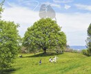 あなたの写真に絵を添えて、心温まる作品にします 思い出の写真を心温まる作品に、贈り物や待ち受け画像にも イメージ9