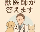 飼い主さん向け：体調・治療方針相談のります ー現役獣医師がペットの体調や治療方針をやさしく解説ー イメージ1