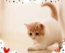 恋愛、子育て、仕事、介護、悩み愚痴とことん聞きます 一緒に心のデトックスしましょう。お手伝い出来れば嬉しいです。 イメージ1