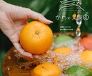 ポップでおしゃれなデザインをお届けします みんなとちがった世界で一つだけのオリジナルデザインをあなたに イメージ6