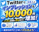 Twitter (X)で1万件のインプ増やします 日本人のインプレッションを+10,000件増やします！ イメージ4
