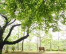 心理カウンセリングを致します あなたの心に寄り添った解決方法をご提供 イメージ1