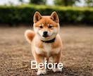 AIで写真をキレイに補正・加工します 大切な思い出の写真をもっと綺麗に イメージ2