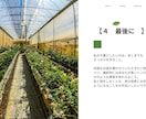 女性限定/あなたの夢を応援します 「誰かの答えではなく、あなた自身の答えを。」 イメージ4