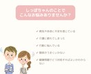 喜びも悲しみも。しっぽちゃんのお話しお聴きします しっぽちゃんとの暮らし、こころがほっとする時間をお届けします イメージ2