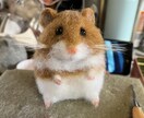 羊毛フェルトで可愛い子たちを作ります ペットの記念として。プレゼントとしていかがでしょうか イメージ7