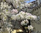 深夜に他愛のない会話や愚痴などの話し相手になります 「ただ静かに話を聞いて欲しい」そんな願いに応えます イメージ3