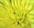 深層の心のクセや周波数の乱れを根本から調律します 心×身体×波動調整の深層ヒーリングカウンセリングで問題を解決 イメージ3