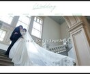 web風動画制作します 心に残るシンプルなwedding movieを作成します イメージ8