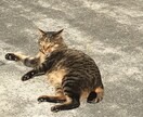 就活、転職活動のお手伝い。面接履歴書添削します 転職活動をしようとしてる方。経験社数が特に多い方へ イメージ1