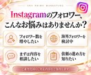 インスタのフォロワー＋10000人増やします 海外フォロワー10,000人追加！初めての方も丁寧にご案内 イメージ2