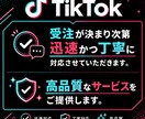 TikTok再生数＋10,000増やします TikTok再生回数増加させて認知アップ！ イメージ3