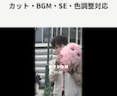SNS・ショート動画を丁寧に編集します リール・TikTok・Shortsに幅広く対応 イメージ2