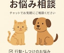 あなたとペット寄り添いサポートします 正しい知識と経験でペットに関するお悩みを一緒に解決します。 イメージ1