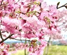 学生の対人関係のお悩み相談乗ります 高校教師を35年以上勤め色々な対人関係のお悩み相談に乗ります イメージ1