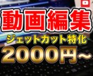 YouTube動画のカット編集を承ります カット編集の時間がない方などご依頼ください イメージ1