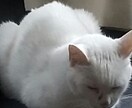 誠実に対応いたします 悩み事を話してみませんか?お力になります。 イメージ1