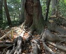 あなたの心の声（感情）を聴きます 病気、心、親子関係、介護、人間関係、死別後の感情の表出の場所 イメージ2