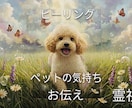 ペットの魂へアクセス。霊視します 本当はどう思ってる？言葉にならない気持ちを霊視・ヒーリング イメージ1