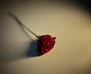 片想いの恋｜お相手の気持ちやこの恋の未来を視ます あなたのその想いは、まだ届いていないだけかもしれません。 イメージ3