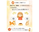 有資格者|愛猫のごはん食べない問題解決します 元ペットショップ店員×ペットフーディストが個別アドバイス！ イメージ2