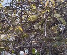 こんな写真をとご要望が頂ける様精進いたします どのような写真がご入り用ですか。 イメージ8