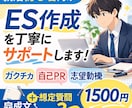 就活初心者向けにES作成を丁寧にサポートします 質問に答えるだけで自己PR・志望動機を自然な文章にまとめます イメージ1