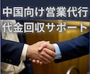 営業代行/中国拠点の現役事業者がサポートます 中小企業・個人事業主をサポート イメージ1