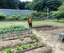 田舎暮らしについてシェアします 畑・人・自然・モノ作りを楽しむ（私の体験からのアドバイス） イメージ2