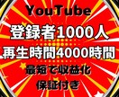 登録者1000人と再生4000時間まで宣伝します 60分動画対応！YouTubeチャンネル収益化 イメージ9