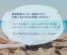アフィリ用ブログ制作【+3ヶ月個別＋添削】します 初心者でも3ヶ月でSEO記事が書けブログがはじめられる！ イメージ7