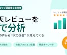 楽天レビューを分析し改善ポイントを丸ごと洗出します 楽天レビューを「次の一手」に変えます イメージ1