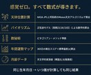 天文アルゴリズムで12頁の星読み鑑定書を届けます 感覚ゼロ。5占術を数理モデルで統合した本格PDF鑑定書 イメージ3