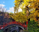 京都観光のスケジュール作成お手伝いします 京女が王道も穴場もまわり方をしっかりアレンジしちゃいます イメージ3