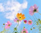 外出の少ない高齢者様 ！とことんお話し聴きます 現役介護士、私が優しく親身に寄り添います イメージ7