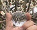 スピリチュアル占いで転機とチャンスの時期を占います 今あなたが何をするべきかが見えてきます。 イメージ1