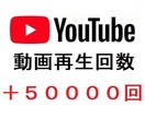 YouTubeの再生回数を増加させます YouTubeの収益化を目指す/動画再生回数の増加 イメージ1