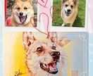 ご家族のネコちゃんワンちゃん似顔絵を製作します 温もりのある手描き水彩画で世界に一枚の似顔絵をお届けします イメージ8