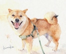うちの子ペット似顔絵を水彩画キャンバスで制作します 犬・猫・うさぎ・人｜プレゼント・メモリアルにどうぞ イメージ9