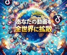 TikTok 10万再生+1万5千いいね増やします オプション複数対応中！7月31日までの特別価格 イメージ2