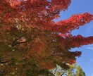 あなたに幸せを届けます 電話の後はスッキリした気持ちになるでしょう♪ イメージ2