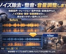 ノイズ除去、整音、音量調整します 動画・証拠音声を聞き取りやすく改善 イメージ1