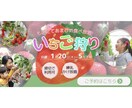 訴求力のあるバナーの画像作成します モニター価格有り‼︎ライティング知識を活かした制作ができます イメージ7