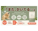 先着3名様★見た人の心が動くWEB画像制作します 女性目線の伝わるデザインで、集客を後押しします イメージ8
