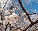 あなたの恋の悩みお聞きします 一人で悩まないでお話ししてみませんか？ イメージ1