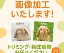 商品画像の背景変更・サイズ変更・明るさ調整します 画像を見やすく＆魅力的に加工します！5枚まで一律1,000円 イメージ1