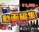 お祝いムービー、日常ムービーなど動画編集致します /YouTube動画、サムネイル作成なども承ります イメージ1